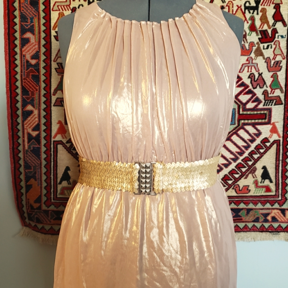 Super fun shiny dress